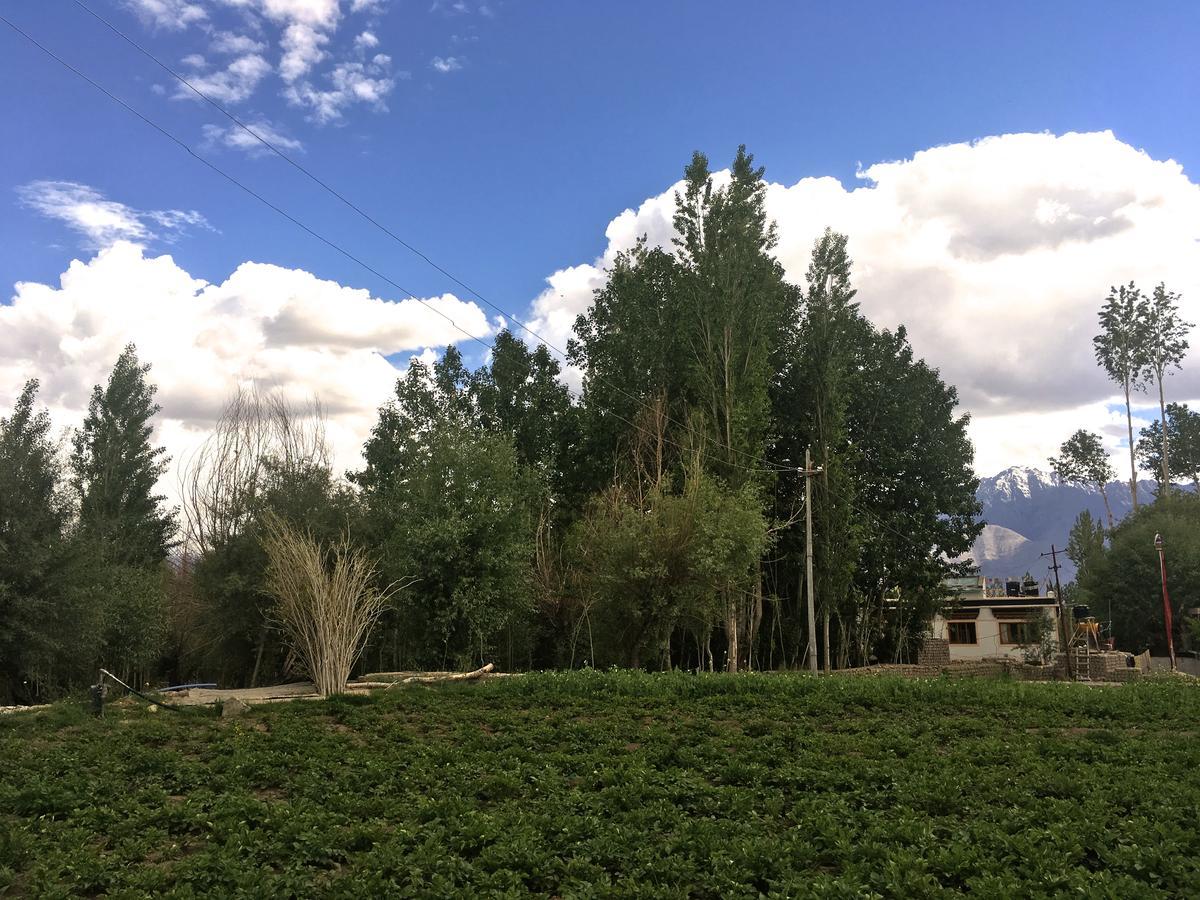 Raybo Hostel Leh Bagian luar foto